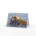 California Sea Otter Wrapped in Bull Kelp. cards by wildlifehotspots California Sea Otter Wrapped in Bull Kelp. cards