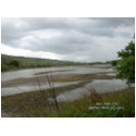 California Seasons - Coyote Creek zazzle_postcard