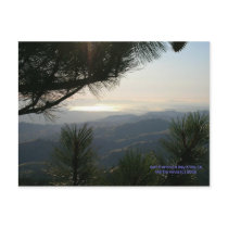 California Seasons - SF Bay Area - Postcard by bluebeachsong California Seasons - SF Bay Area - Postcard