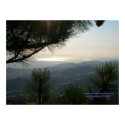 California Seasons - SF Bay Area - Poster posters