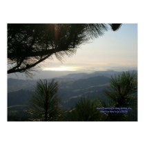 California Seasons - SF Bay Area - Poster posters