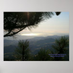 California Seasons - SF Bay Area - Poster