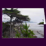 california shoreline