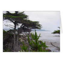 california shoreline cards