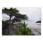 california shoreline cards