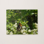 California Sister Butterfly Puzzle