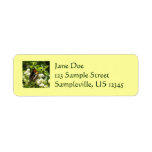California Sister Butterfly Return Address Label