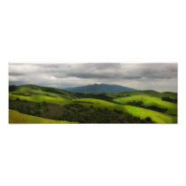California Spring Panorama