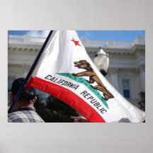 California State Capitol and Flag Poster