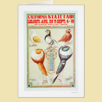 California State Fair 1909 cards
