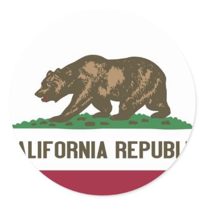 California+state+flag+history+kids