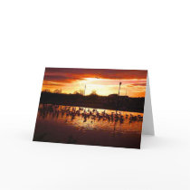 California Sunset cards by joacreations California Sunset cards
