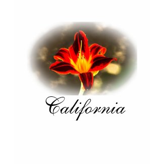 California T-shirt shirt