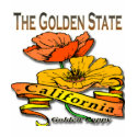 California+state+flower+golden+poppy