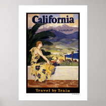 California this summer. Travel by Train Poster