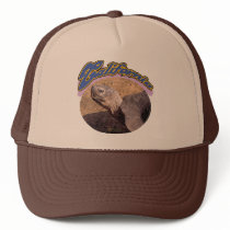 California tortoise watercolor cap hats