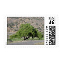 california tree postage by sumiko california tree postage