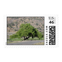 california tree postage by sumiko california tree postage