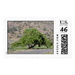california tree postage