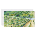 California Vineyard Photo Card