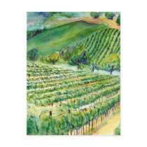 California Vineyard Postcard