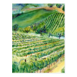 California Vineyard Postcard