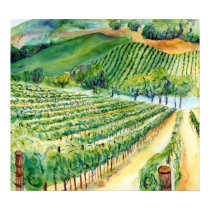California Vineyard Print by donnabellas California Vineyard Print