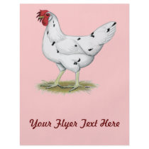 California White Hen Flyer