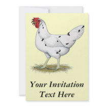 California White Hen Announcements