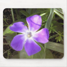 California Wildflower Mousepad