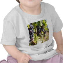 California Wine Country T-shirts