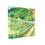 California Winery Vineyard Painting Canvas Print