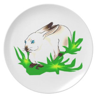 Californian blue eyed rabbit in green grass.png plates