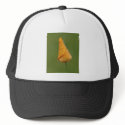 Californian Poppy hats