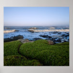 California's Big Sur coast at dawn Posters