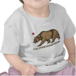 Califreakinfornia