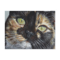 Cali's Stare Tortie Tortoiseshell Cat Painting Art Post Cards