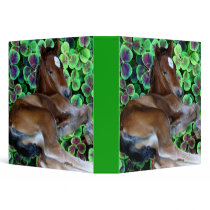 CALISTA IN CLOVER 1.5" Ring Binder