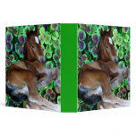 CALISTA IN CLOVER 1.5" Ring Binder
