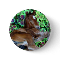CALISTA IN CLOVER PINBACK BUTTONS
