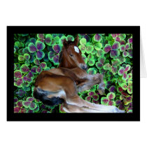 CALISTA IN CLOVER GREETING CARD
