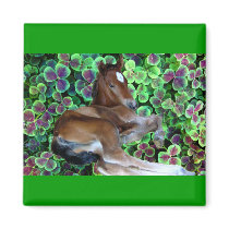 CALISTA IN CLOVER MAGNET