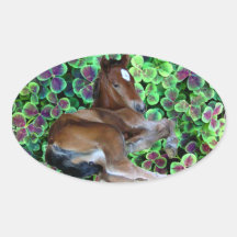 CALISTA IN CLOVER OVAL STICKER