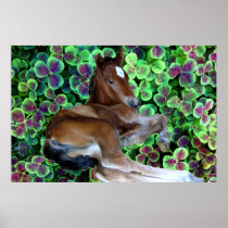 CALISTA IN CLOVER Poster