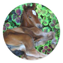 CALISTA IN CLOVER STICKERS