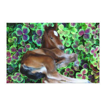 CALISTA IN CLOVER Wrapped Canvas Print