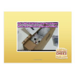 Call 1-800-LOLCATS postcards