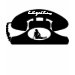 Ladies Baby Doll (Fitted)