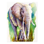 Call of the Wild Elephant Postcard