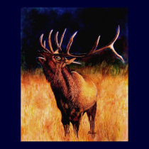 Call Of The Wild, Fine Art Prints by artbyjolyn Call Of The Wild, Fine Art Prints